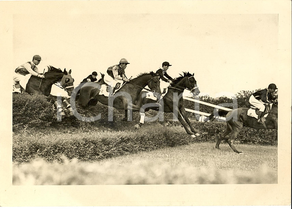 Fotografia d'epoca originale 1935 ca TORINO IPPICA Salto dell'ostacolo al Premio CittÃ  di Torino *Fotografia 1