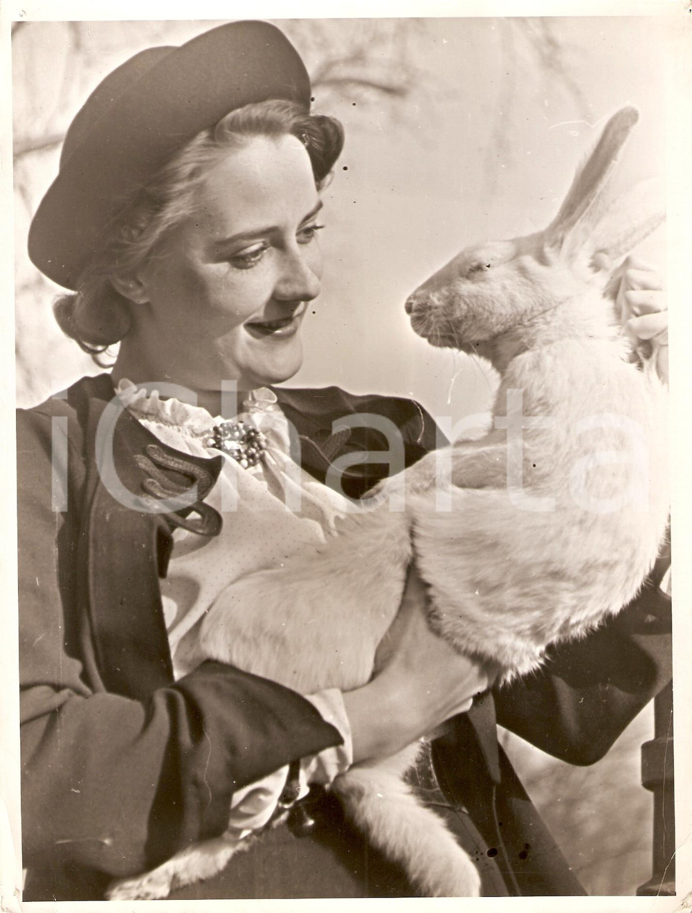 Fotografia d'epoca originale 1940 BERLINO Attrice Gertrud MEYEN accarezza coniglio 1