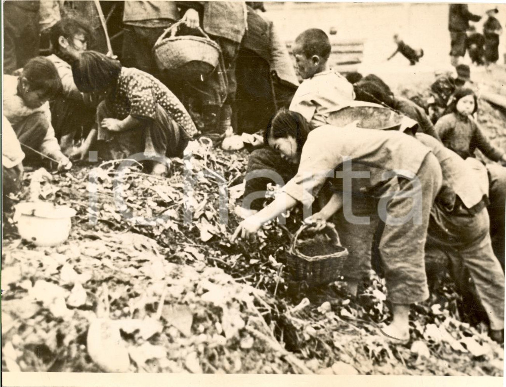 Fotografia d'epoca originale 1938 SHANGAI Donne e bambini si cibano nell'immondizia 1
