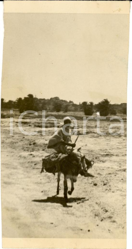Fotografia d epoca originale 1942 TRIPOLI Un portatore in viaggio nel deserto FOTO 1