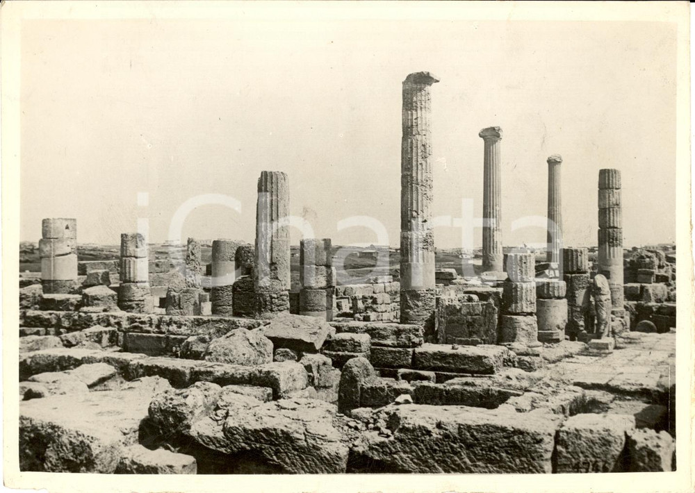 Fotografia d epoca originale 1934 CIRENE LIBIA Le rovine dell AUGUSTEUM in CIRENAICA Vera fotografia 1