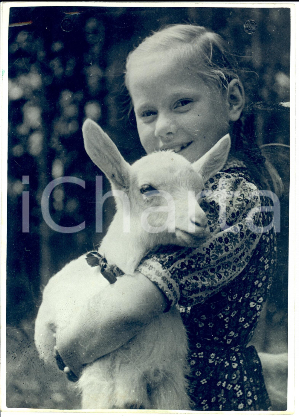 Fotografia d epoca originale 1943 STIRIA AU Contadinella stiriana con agnellino Fotografia 1