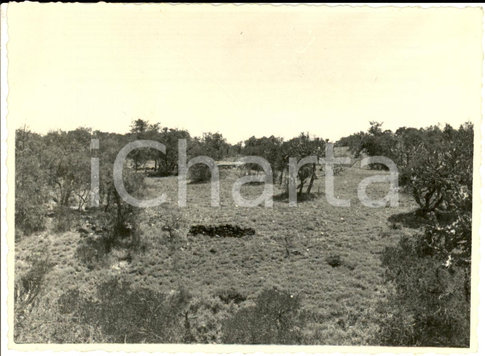Fotografia d epoca originale 1938 NEGHELLI ETIOPIA Veduta della foresta vicino alla cittÃ  Fotografia 1