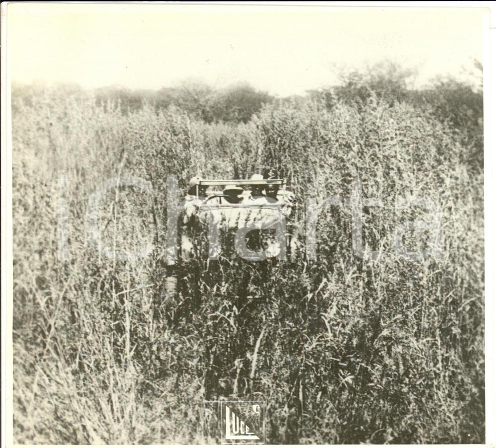 Fotografia d epoca originale 1935 ca ETIOPIA Le autostrade nelle colonie Fotografia 1