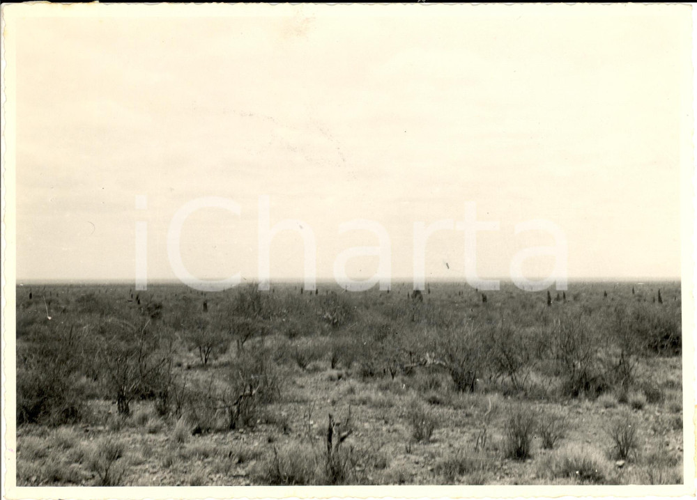 Fotografia d epoca originale 1938 AOI GORIRID SOMALIA Distese di termitai verso il SOMALILAND Fotografia 1