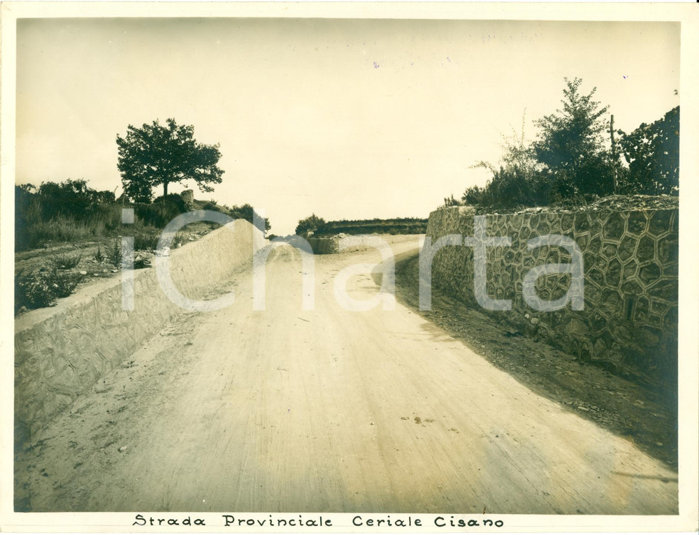 Fotografia d epoca originale 1932 CERIALE SV Strada Provinciale per CISANO SUL NEVA Fotografia 1 1