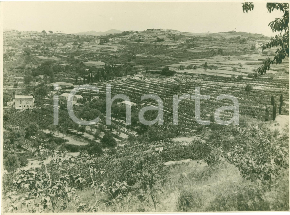 Fotografia d epoca originale 1935 ca MESSINA Terrazzamenti di gesso nelle campagne Fotografia 1