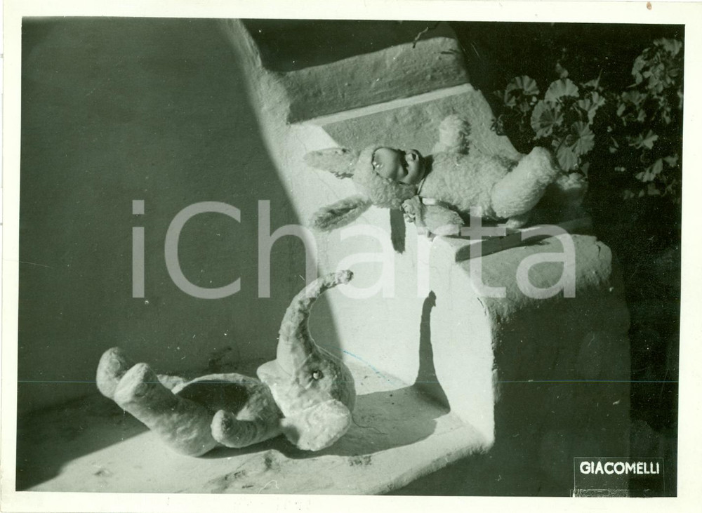 Fotografia d epoca originale 1941 VENEZIA Giocattoli di pezza Bambolotto ed elefante FOTOGRAFIA COEVA 1