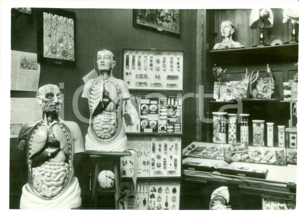 Fotografia d epoca originale 1937 MILANO Padiglione scienze per Giornata Scolaro FIERA CAMPIONARIA Foto 1