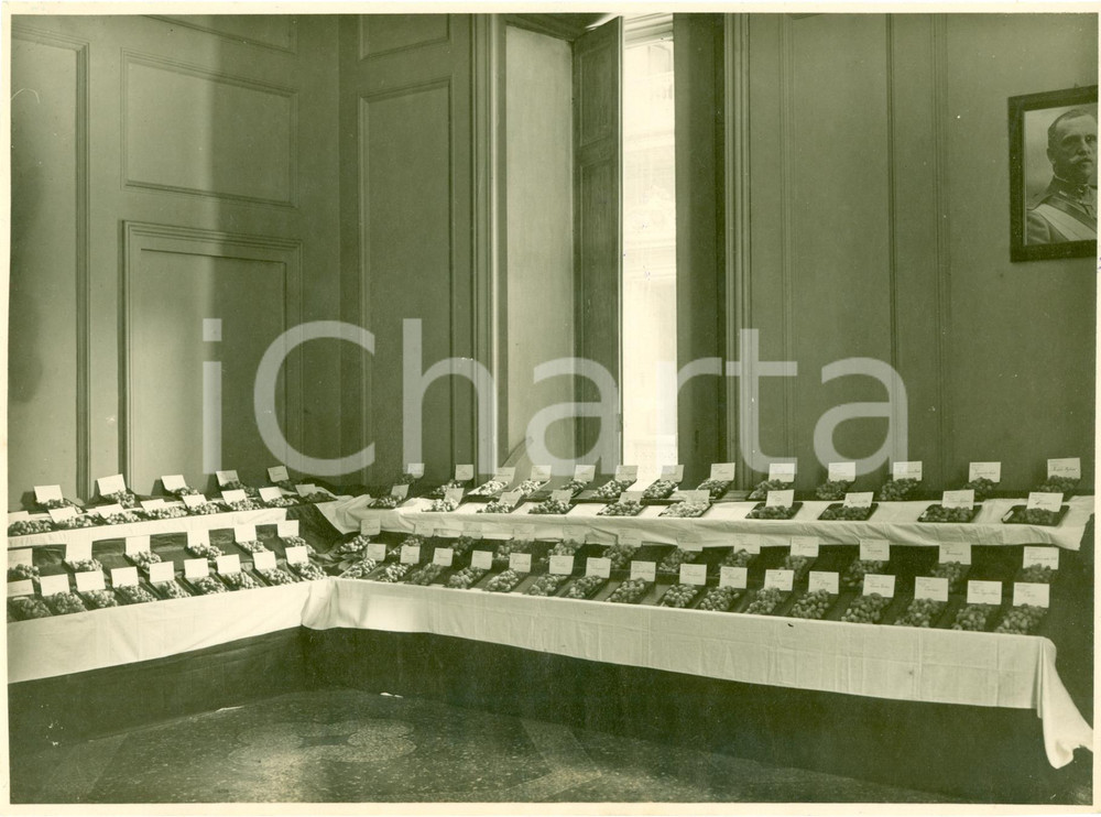 Fotografia d epoca originale 1931 MILANO Espositori alla Mostra di SERICOLTURA Fotografia 1