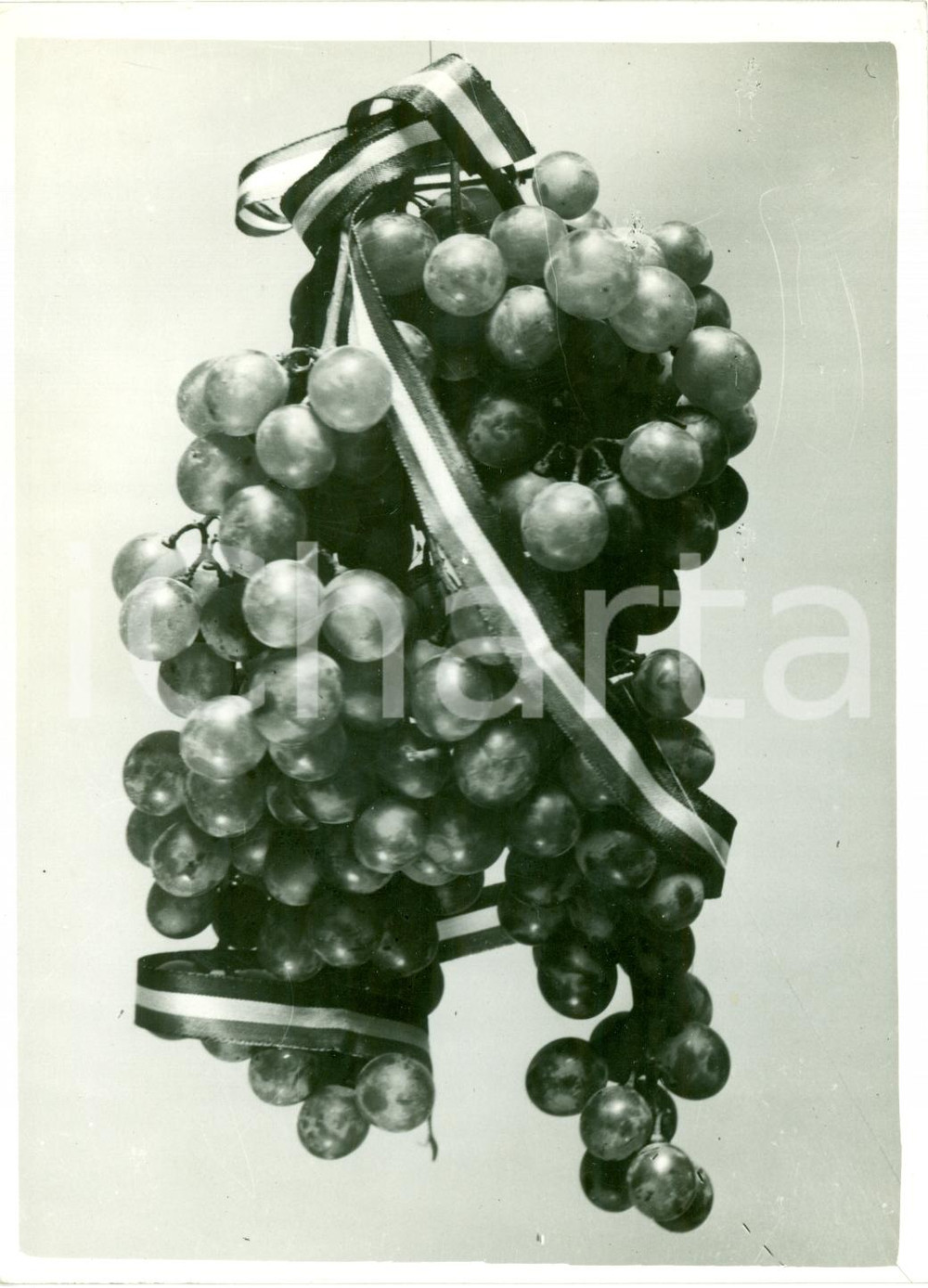 Fotografia d epoca originale 1940 MILANO Uva premiata con tricolore a GIORNATA DELL UVA Fotografia 1