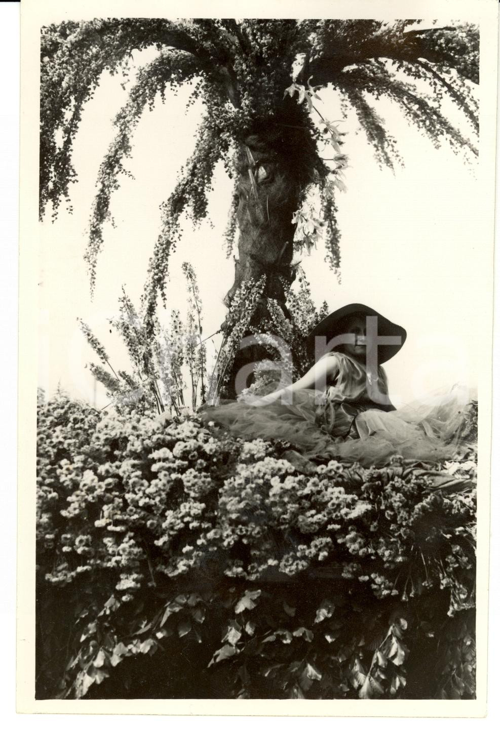 Fotografia d epoca originale 1936 TORINO Parco del VALENTINO Primo premio corso dei carri fioriti Foto 1