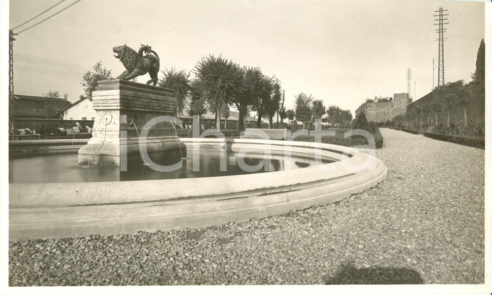 Fotografia d epoca originale 1933 AREZZO Fontana con CHIMERA nei giardini di viale MICHELANGELO Fotografia 1