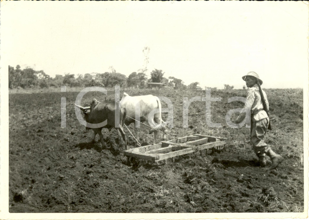 Fotografia d epoca originale 1937 GIMMA ETIOPIA Colono italiano ara campi sperimentalia GALLA e SIDAMA Foto 1