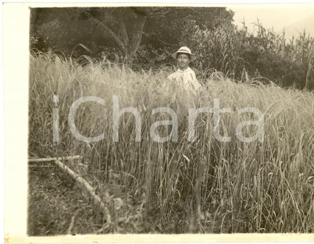 Fotografia d epoca originale 1930 ca SAN VITTORE DEL LAZIO FR Campo coltivato a grano orientale Foto 1