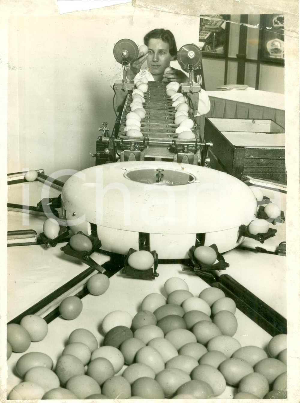 Fotografia d epoca originale 1937 NEW YORK USA Nuova macchina smistatrice pesatrice uova Foto DANNEGGIATA 1