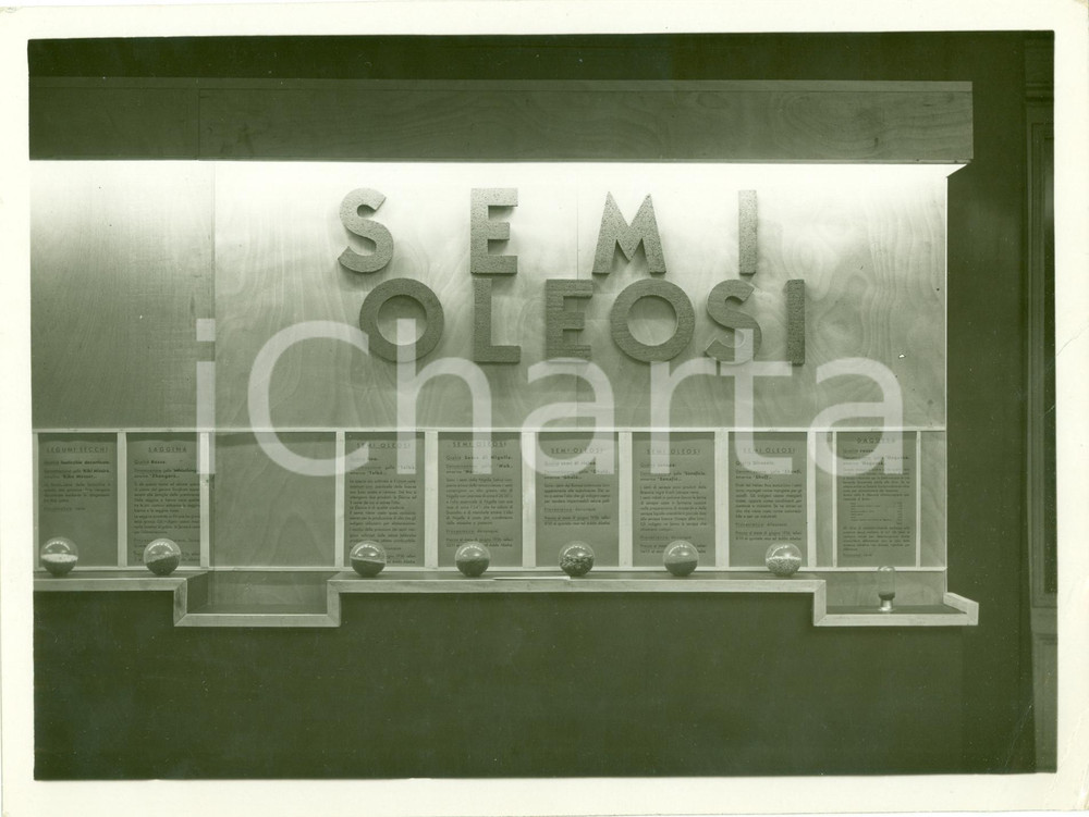 Fotografia d epoca originale 1937 MILANO  Padiglione semi oleosi Mostra AFRICA ORIENTALE ITALIANA Fotografia 1