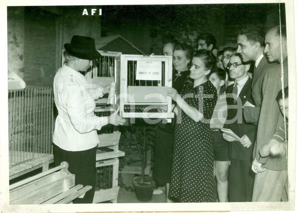Fotografia d epoca originale 1935 ca ROMA Massaie rurali mostrano gabbietta per ovaiole Foto DANNEGGIATA 1