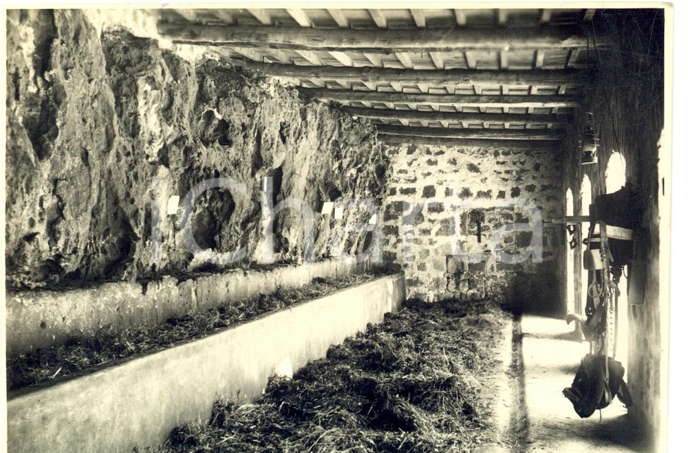 Fotografia d epoca originale 1930 TOCRA LIBIA Interno di una scuderia tradizionale Fotografia 1
