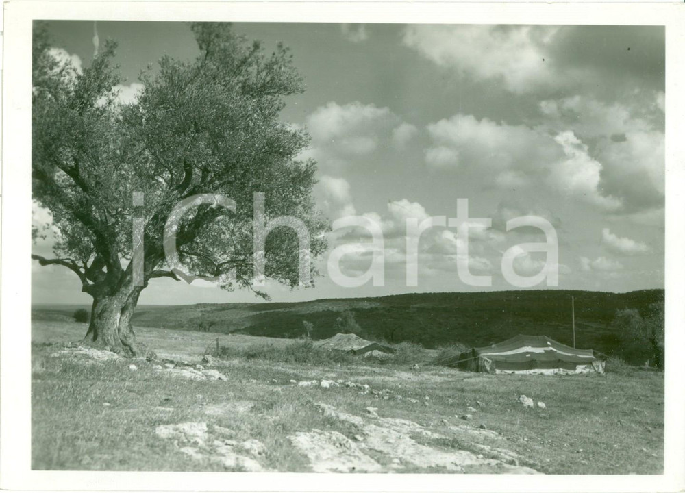 Fotografia d epoca originale 1935 ca GEBEL ELACHDAR LIBIA Accampamento italiano sulla montagna Fotografia 1