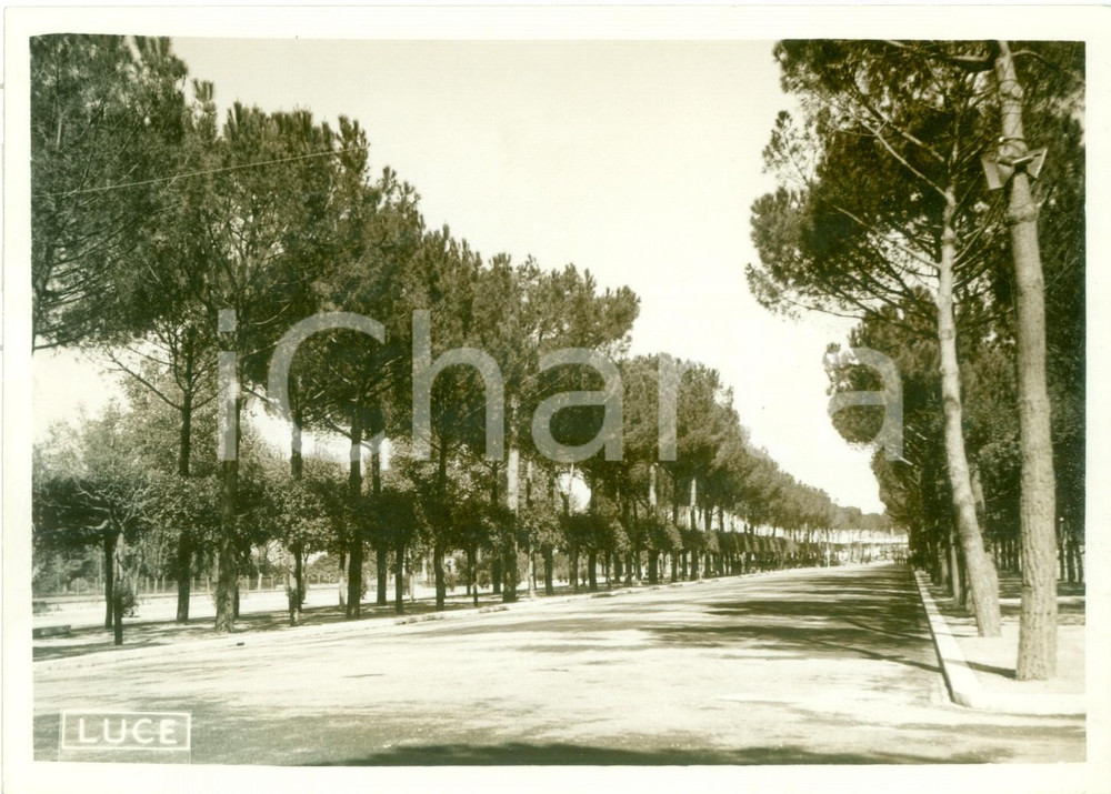 Fotografia d epoca originale 1939 ROMA EUR Un tratto della VIA IMPERIALE pronto per visita del DUCE Foto 1