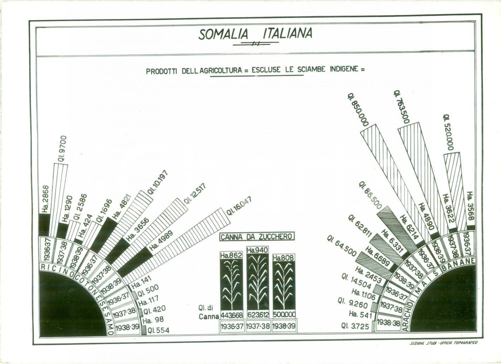 Fotografia d epoca originale 1939 SOMALIA AOI Prodotti dell agricoltura escluse shambe indigene FOTOGRAFIA 1