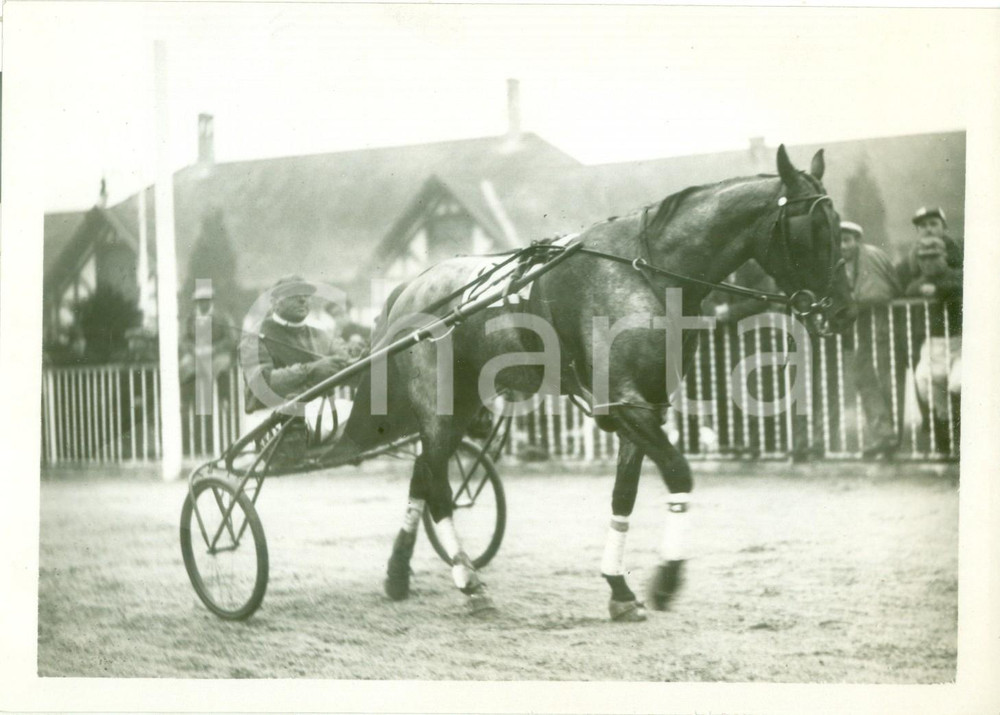 Fotografia d epoca originale 1936 MILANO SAN SIRO Ippica Cavallo AULO GELLIO vince Gran Premio d EUROPA Foto 1