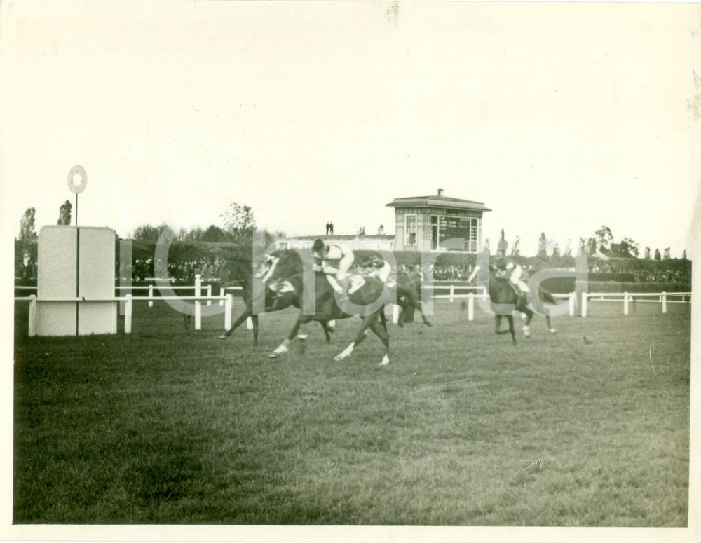 Fotografia d epoca originale 1936 MILANO SAN SIRO Ippica Cavallo TELLURIO vince Premio EMANUELE FILIBERTO 1