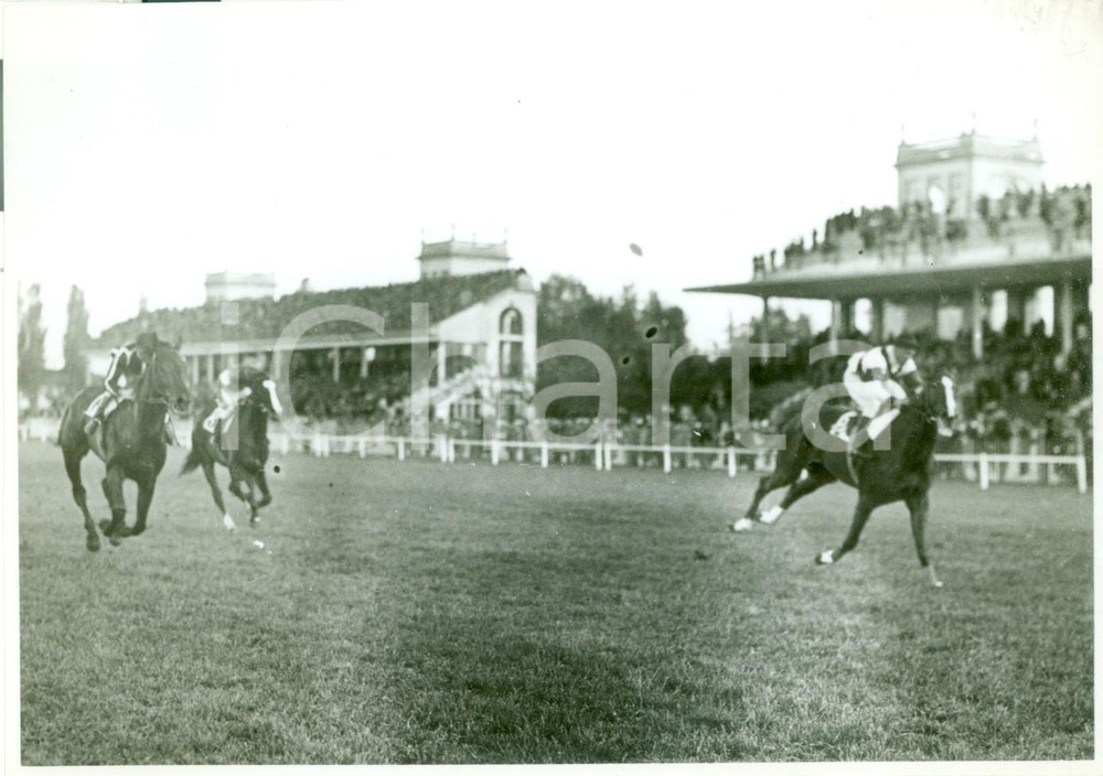 Fotografia d epoca originale 1936 MILANO SAN SIRO Cavallo TELLURIO al premio Emanuele Filiberto Fotografia 1