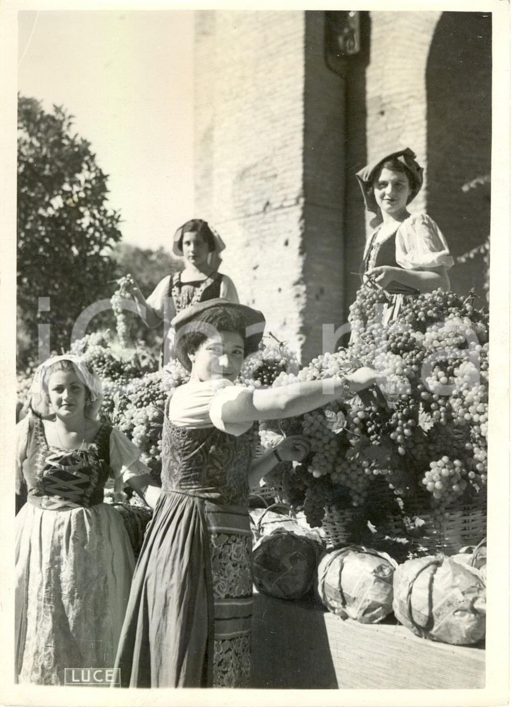 Fotografia d epoca originale 1940 ROMA Contadine in abiti tipici alla campagna dell uva e della frutta Foto 1