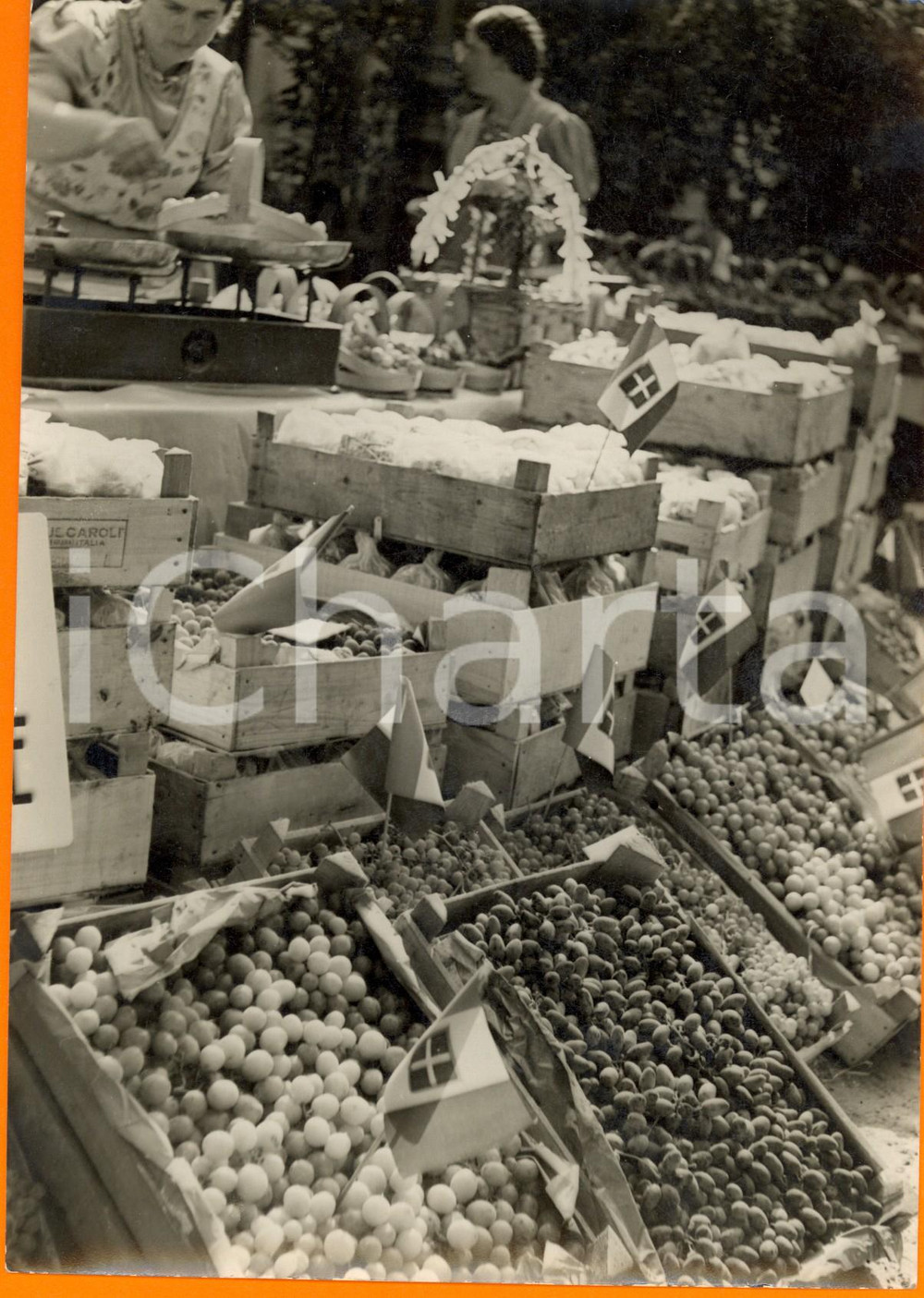 Fotografia d epoca originale 1930 ca MILANO Sagra dell uva Bancarelle con grappoli bandierine Regno d ITALIA 1