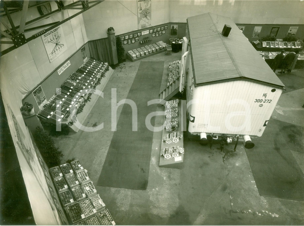 Fotografia d epoca originale 1931 KOLN DE Esposizione Internazionale  Frutta italiana e cella frigorifera 1