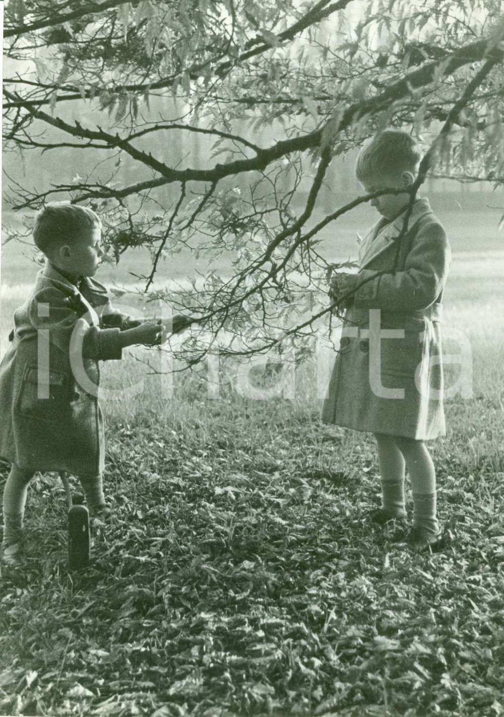 Fotografia d epoca originale 1938 MILANO Bambini giocano in autunno al Parco SEMPIONE Fotografia 1