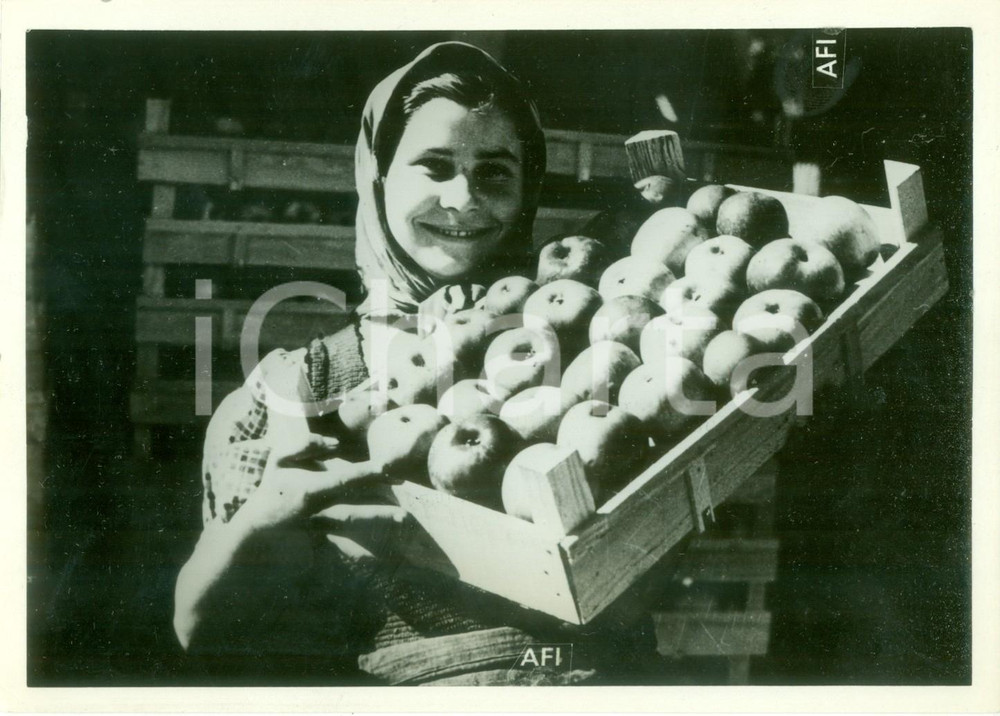 Fotografia d epoca originale 1942 ROMA WW2 Una contadina con una cassetta di mele Fotografia 1