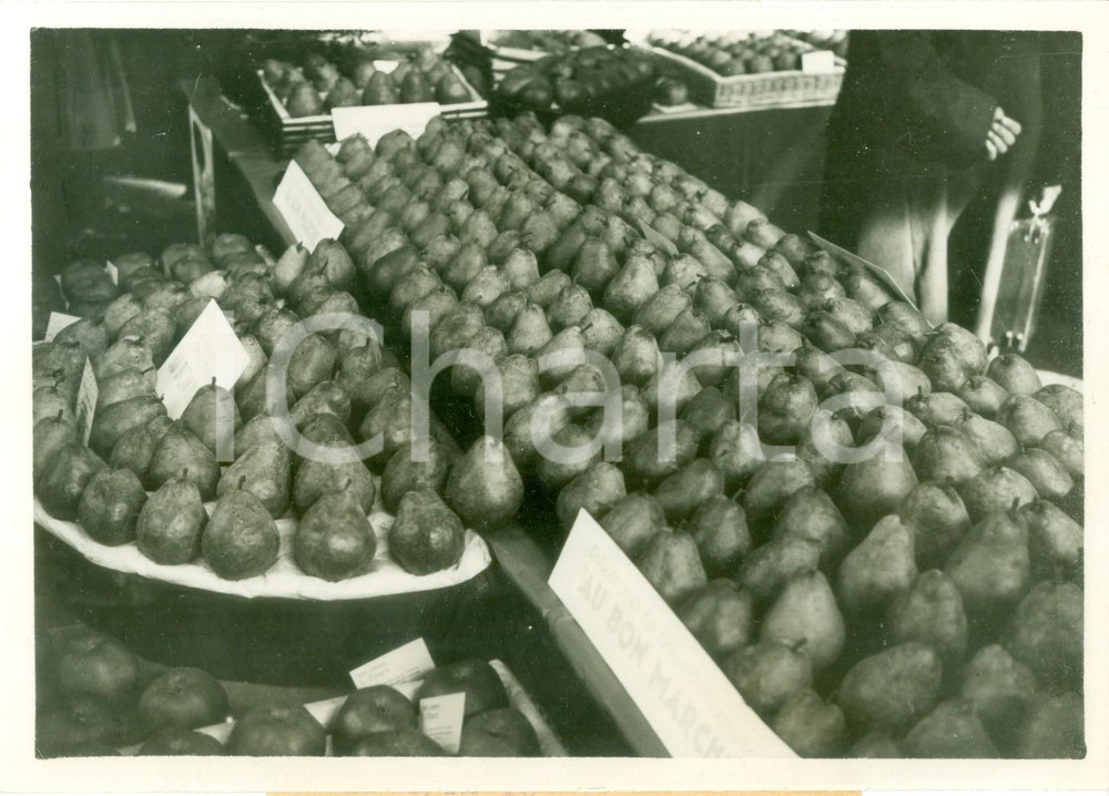 Fotografia d epoca originale 1938 PARIS Esposizione di frutta all Orangerie du Jardin du LUXEMBOURG Foto 1