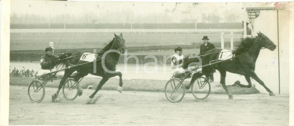 Fotografia d epoca originale 1939 MILANO SAN SIRO Cavallo AGRIGENTO vince il Premio Milano Fotografia 1