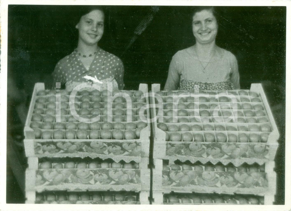 Fotografia d epoca originale 1933 ROMA Ceste di frutta alla mostra di frutticoltura Fotografia 1