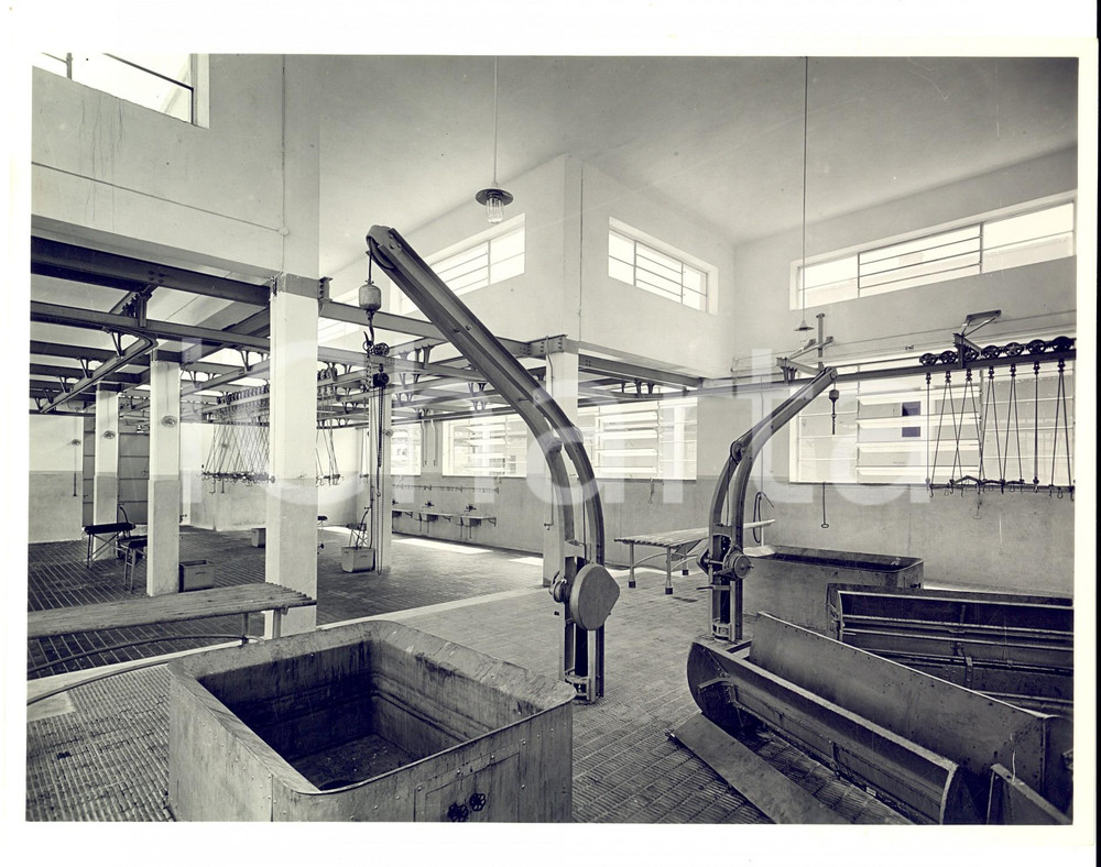 Fotografia d epoca originale 1950 ca PAVIA Macello  Veduta della sala per i suini  Foto CHIOLINI & TURCONI 1