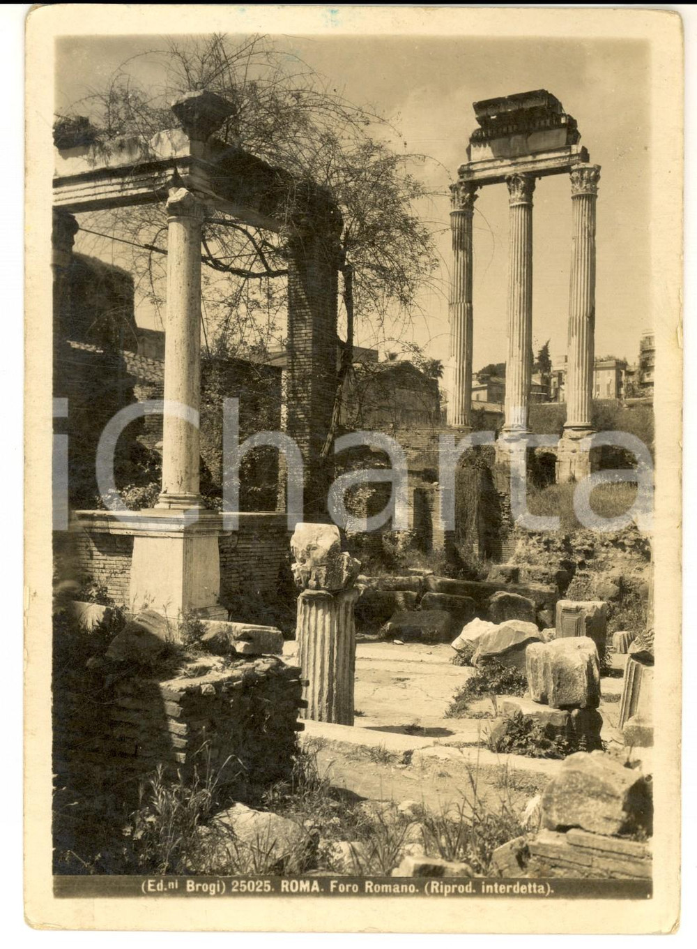 Fotografia d epoca originale 1930 ca ROMA Veduta delle rovine del Foro Romano Fotografia BROGI 13x17 cm 1