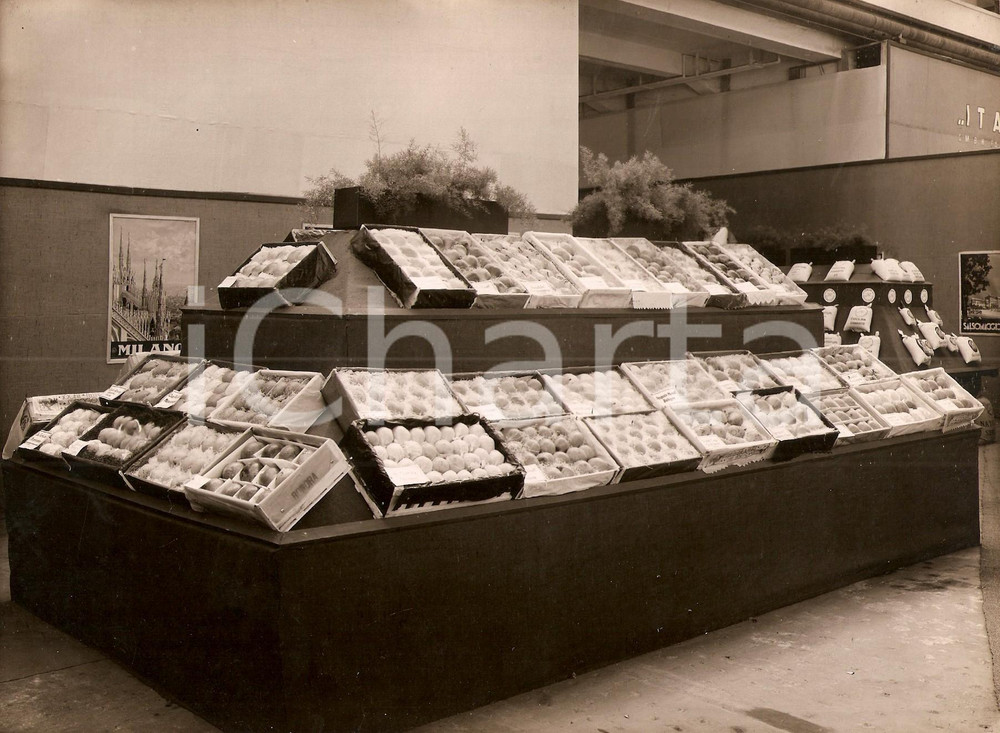 Fotografia d epoca originale 1931 KOLN D Fiera Internazionale  Riso CAROLINA DIAMANTE e frutta italiana 1