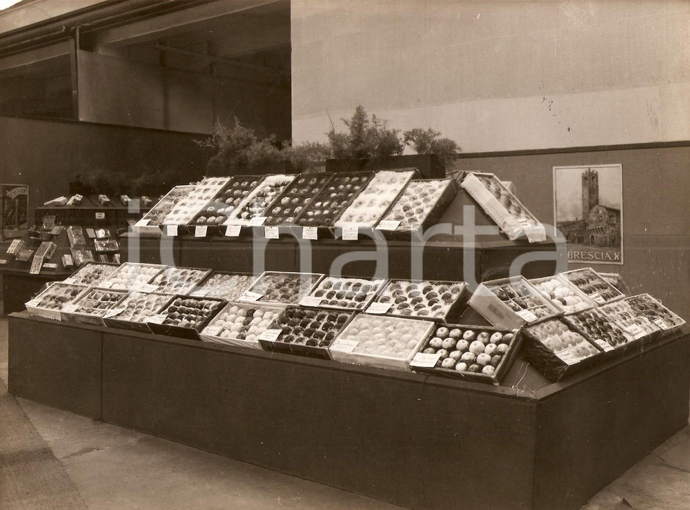 Fotografia d epoca originale 1931 KOLN D Fiera Internazionale  Mele Pasquale MARTELLI di BOLOGNA Foto 1