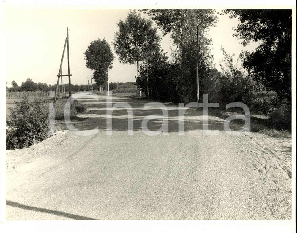 Fotografia d epoca originale 1950 ca SUARDI PV Veduta di una strada in campagna Fotografia artistica 1