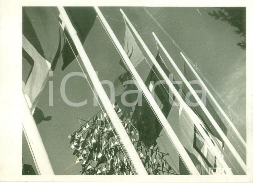 Fotografia d epoca originale 1930 ca ROMA Bandiere del Regno d Italia ed europee sventolano Fotografia 1