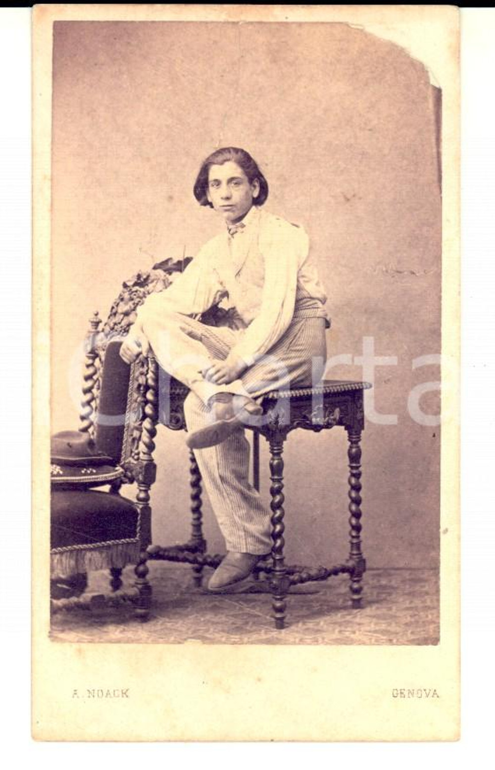 Fotografia d epoca originale 1880 ca GENOVA Ritratto di adolescente con abito a righe Foto ALFREDO NOACK CDV 1