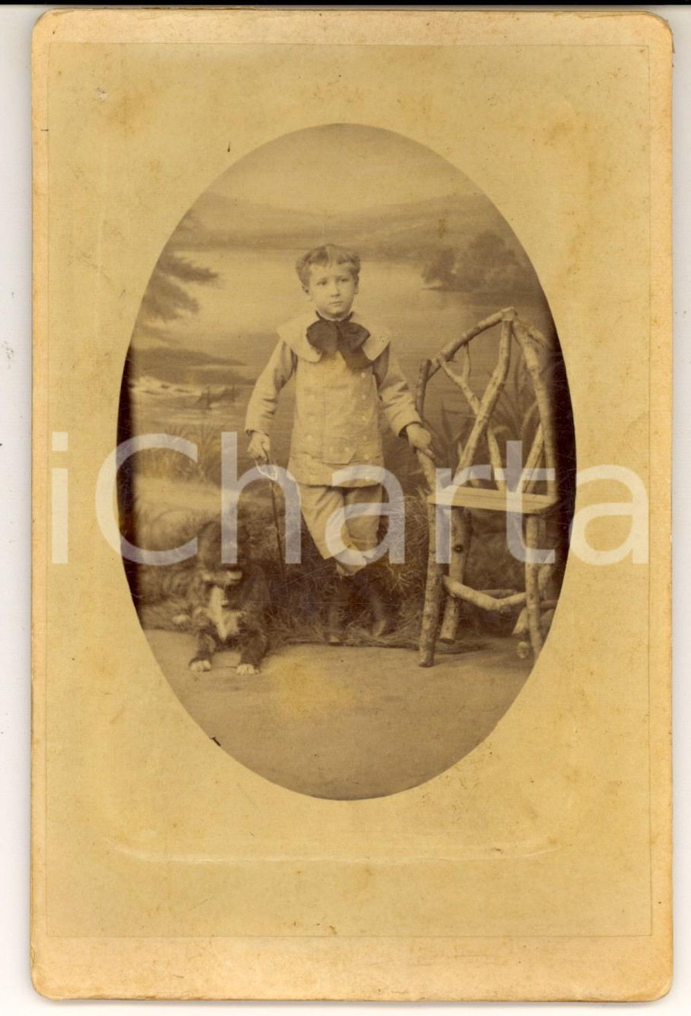 Fotografia d epoca originale 1900 ca ALGERI Ritratto di bambino con il cane Foto RESERVE 12x17 VINTAGE 1