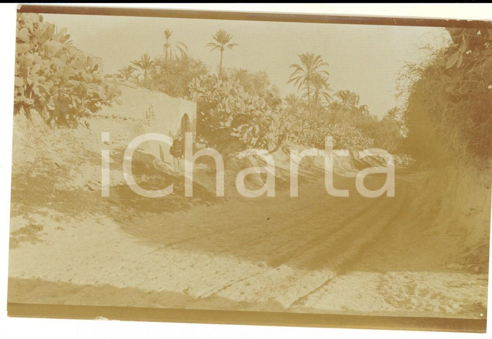 Fotografia d epoca originale 1920 ca LIBIA Militare italiano in un posto di guardia tra i fichi d india Foto 1