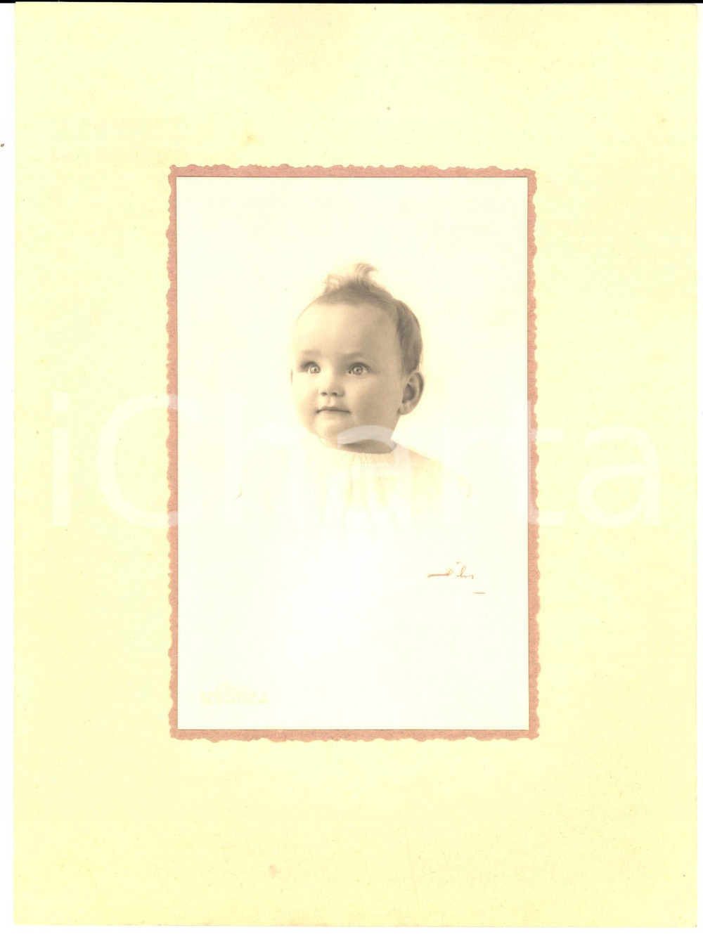 Fotografia d epoca originale 1930 ca MILANO Ritratto di bambina di pochi mesi Foto PETRI 17x23 cm 1