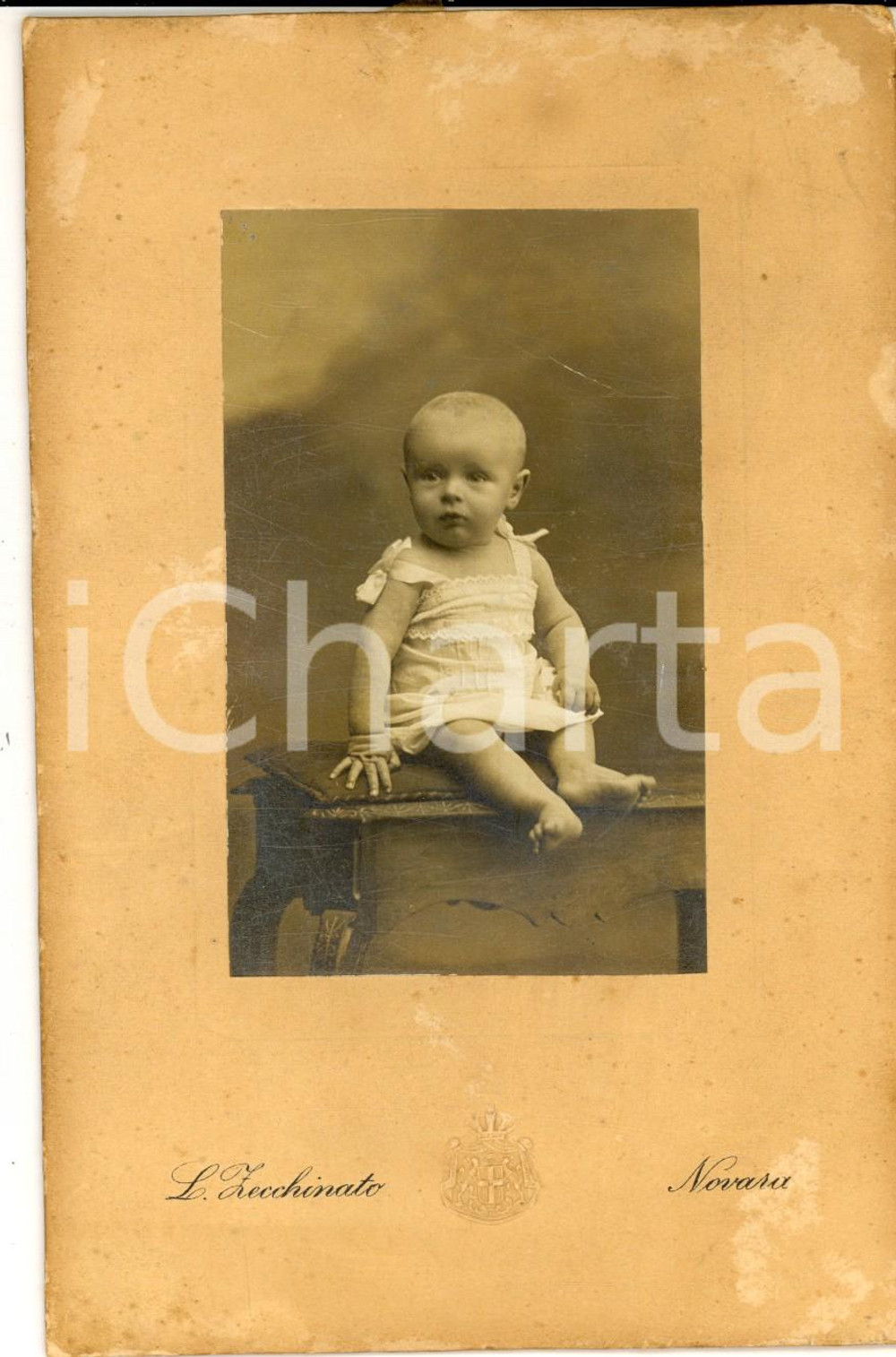 Fotografia d epoca originale 1890 ca NOVARA Ritratto di bambino di pochi mesi Fotografia ZECCHINATO12x16 cm 1