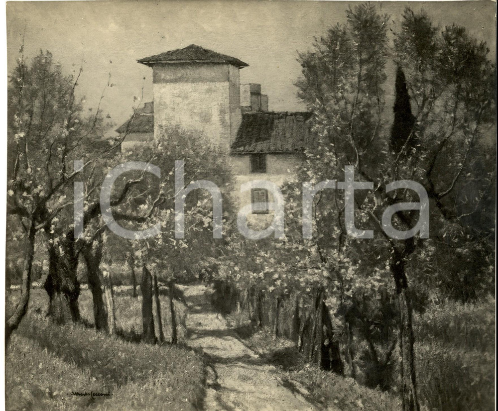 Fotografia d epoca originale 1936 FIRENZE Mostra d Arte  Alberto CECCONI Primi germogli Foto coeva quadro 1
