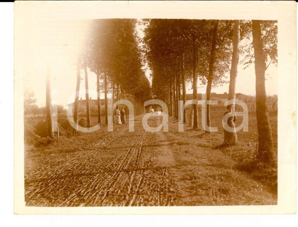 Fotografia d epoca originale 1910 ca AREA LOMBARDA Donne in campagna e coppia di buoi Fotografia anonima 12x9 1